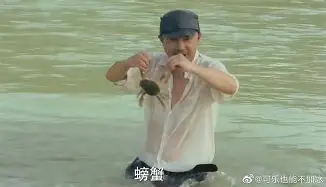 尼斯与图卢兹法甲对决前瞻