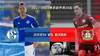 沙尔克vs柏林赫塔直播